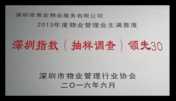 深圳指數（抽樣調查）領先30